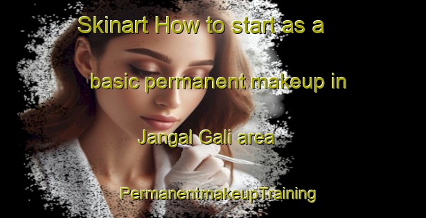 Skinart How to start as a basic permanent makeup in Jangal Gali area | PermanentmakeupTraining | PermanentmakeupClasses | SkinartTraining-India