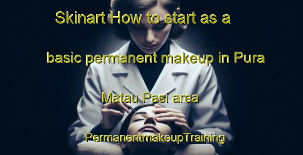 Skinart How to start as a basic permanent makeup in Pura Matau Pasi area | PermanentmakeupTraining | PermanentmakeupClasses | SkinartTraining-India