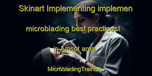 Skinart Implementing implemen microblading best practicest in Amsot area | #MicrobladingTraining #MicrobladingClasses #SkinartTraining-India