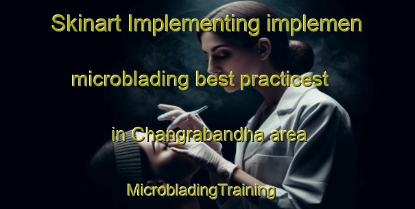 Skinart Implementing implemen microblading best practicest in Changrabandha area | MicrobladingTraining | MicrobladingClasses | SkinartTraining-India