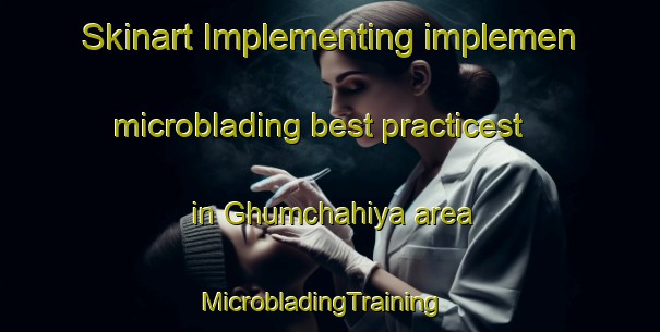 Skinart Implementing implemen microblading best practicest in Ghumchahiya area | MicrobladingTraining | MicrobladingClasses | SkinartTraining-India