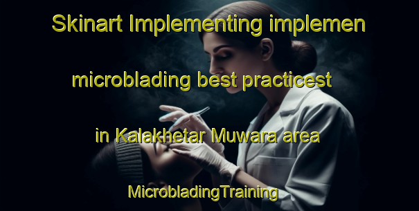 Skinart Implementing implemen microblading best practicest in Kalakhetar Muwara area | MicrobladingTraining | MicrobladingClasses | SkinartTraining-India