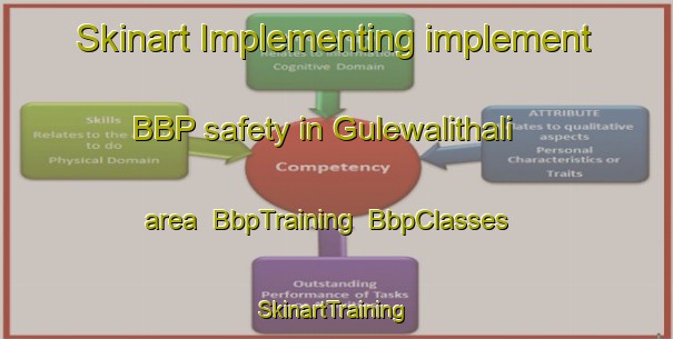 Skinart Implementing implement BBP safety in Gulewalithali area | BbpTraining | BbpClasses | SkinartTraining-India