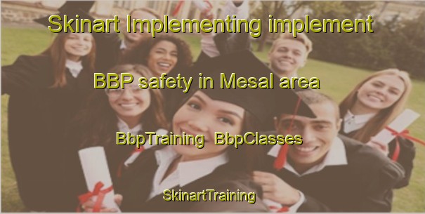 Skinart Implementing implement BBP safety in Mesal area | BbpTraining | BbpClasses | SkinartTraining-India