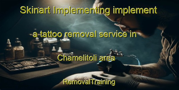 Skinart Implementing implement a tattoo removal service in Chamelitoli area | RemovalTraining | RemovalClasses | SkinartTraining-India
