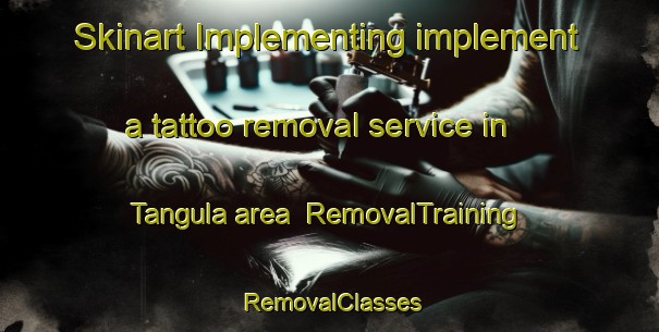 Skinart Implementing implement a tattoo removal service in Tangula area | RemovalTraining | RemovalClasses | SkinartTraining-India