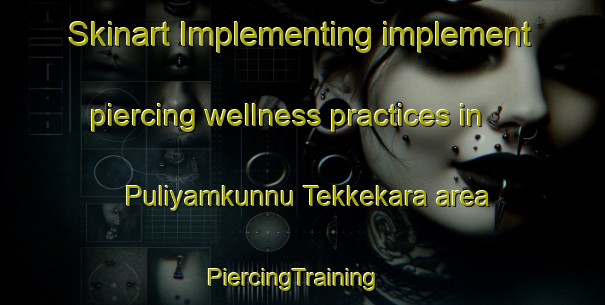 Skinart Implementing implement piercing wellness practices in Puliyamkunnu Tekkekara area | PiercingTraining | PiercingClasses | SkinartTraining-India