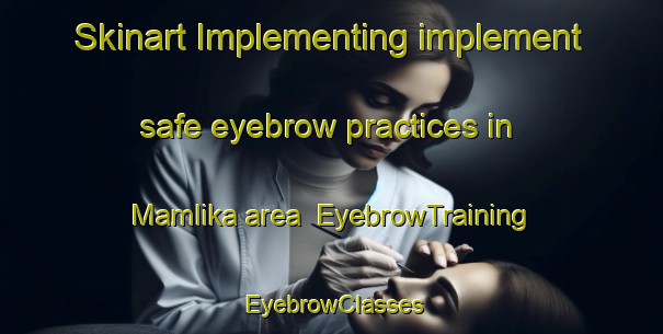 Skinart Implementing implement safe eyebrow practices in Mamlika area | EyebrowTraining | EyebrowClasses | SkinartTraining-India