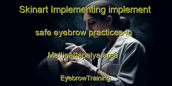 Skinart Implementing implement safe eyebrow practices in Mattigattapalya area | EyebrowTraining | EyebrowClasses | SkinartTraining-India