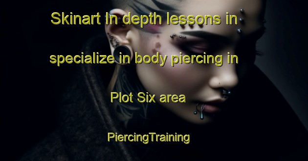 Skinart In-depth lessons in specialize in body piercing in Plot Six area | PiercingTraining | PiercingClasses | SkinartTraining-India
