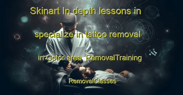 Skinart In-depth lessons in specialize in tattoo removal in Gotor area | RemovalTraining | RemovalClasses | SkinartTraining-India