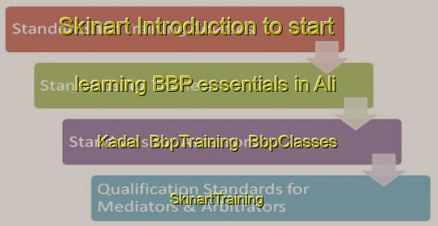 Skinart Introduction to start learning BBP essentials in Ali Kadal | BbpTraining | BbpClasses | SkinartTraining-India