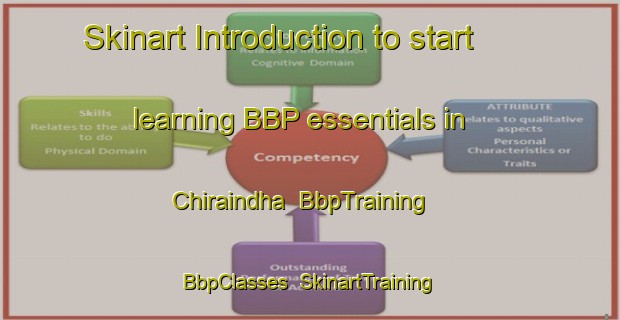 Skinart Introduction to start learning BBP essentials in Chiraindha | BbpTraining | BbpClasses | SkinartTraining-India