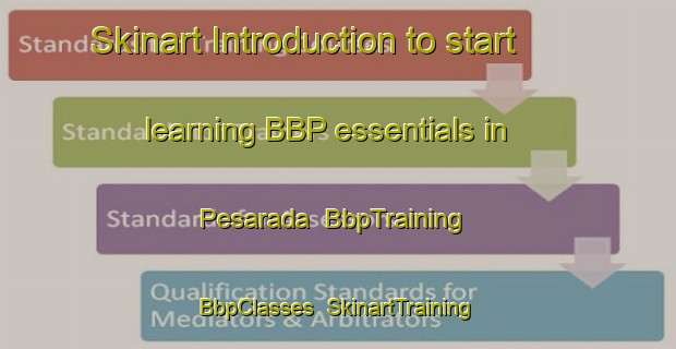 Skinart Introduction to start learning BBP essentials in Pesarada | BbpTraining | BbpClasses | SkinartTraining-India