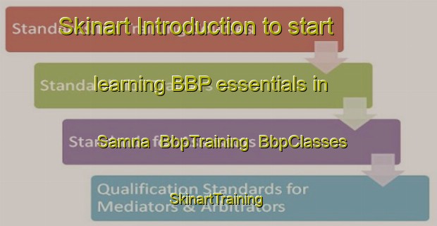 Skinart Introduction to start learning BBP essentials in Samna | BbpTraining | BbpClasses | SkinartTraining-India