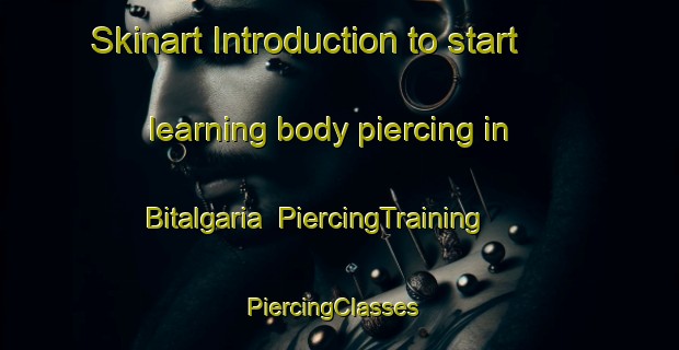 Skinart Introduction to start learning body piercing in Bitalgaria | PiercingTraining | PiercingClasses | SkinartTraining-India