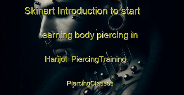 Skinart Introduction to start learning body piercing in Harijot | PiercingTraining | PiercingClasses | SkinartTraining-India