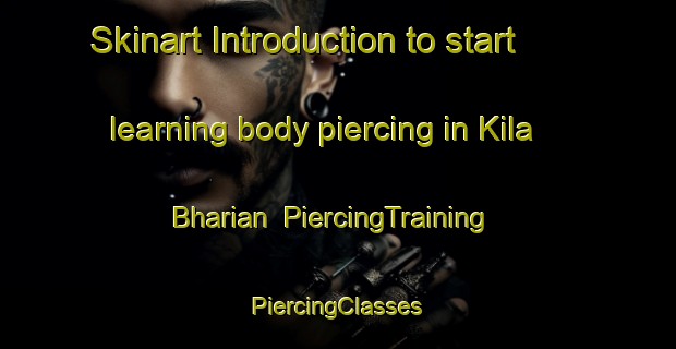 Skinart Introduction to start learning body piercing in Kila Bharian | #PiercingTraining #PiercingClasses #SkinartTraining-India