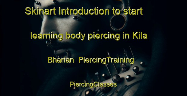 Skinart Introduction to start learning body piercing in Kila Bharian | #PiercingTraining #PiercingClasses #SkinartTraining-India