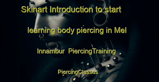 Skinart Introduction to start learning body piercing in Mel Innambur | PiercingTraining | PiercingClasses | SkinartTraining-India