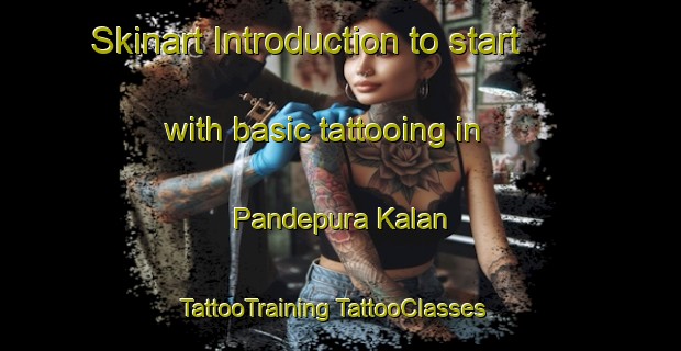 Skinart Introduction to start with basic tattooing in Pandepura Kalan | #TattooTraining #TattooClasses #SkinartTraining-India