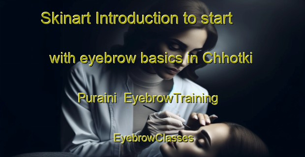 Skinart Introduction to start with eyebrow basics in Chhotki Puraini | EyebrowTraining | EyebrowClasses | SkinartTraining-India