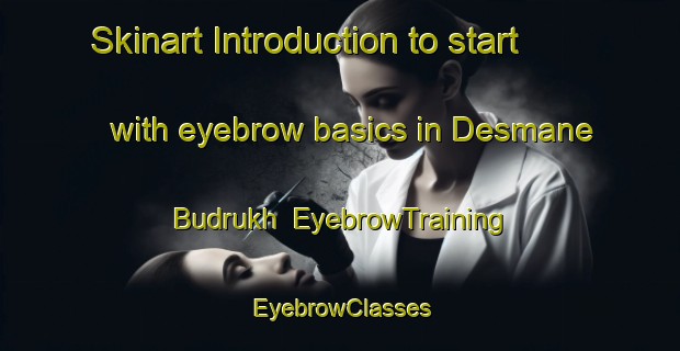 Skinart Introduction to start with eyebrow basics in Desmane Budrukh | EyebrowTraining | EyebrowClasses | SkinartTraining-India
