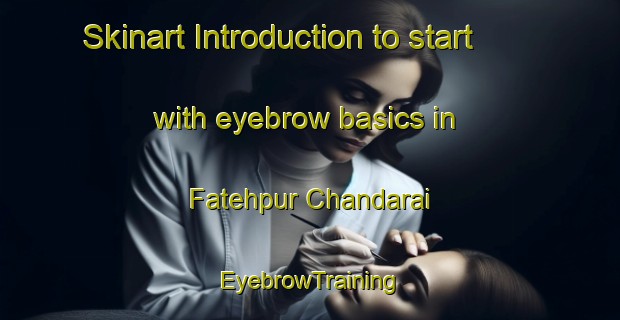 Skinart Introduction to start with eyebrow basics in Fatehpur Chandarai | EyebrowTraining | EyebrowClasses | SkinartTraining-India