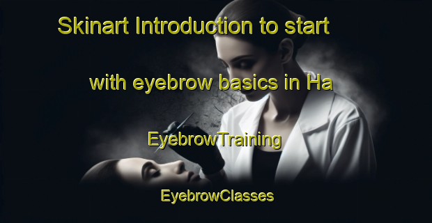 Skinart Introduction to start with eyebrow basics in Ha | EyebrowTraining | EyebrowClasses | SkinartTraining-India