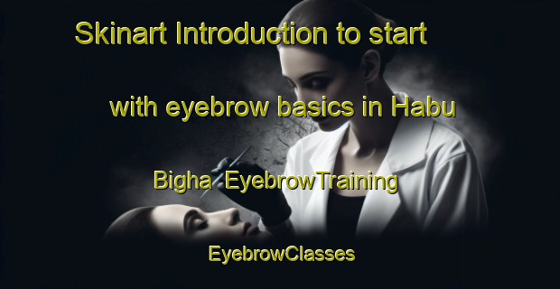 Skinart Introduction to start with eyebrow basics in Habu Bigha | EyebrowTraining | EyebrowClasses | SkinartTraining-India