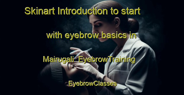 Skinart Introduction to start with eyebrow basics in Mairugali | EyebrowTraining | EyebrowClasses | SkinartTraining-India