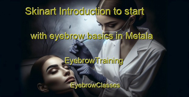 Skinart Introduction to start with eyebrow basics in Metala | EyebrowTraining | EyebrowClasses | SkinartTraining-India