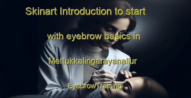 Skinart Introduction to start with eyebrow basics in Mettukkalingarayanallur | EyebrowTraining | EyebrowClasses | SkinartTraining-India