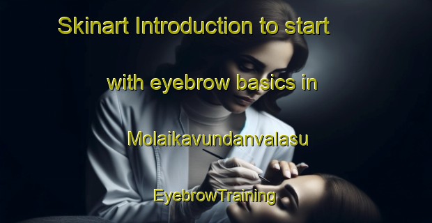 Skinart Introduction to start with eyebrow basics in Molaikavundanvalasu | EyebrowTraining | EyebrowClasses | SkinartTraining-India