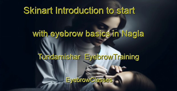 Skinart Introduction to start with eyebrow basics in Nagla Tundamishar | EyebrowTraining | EyebrowClasses | SkinartTraining-India