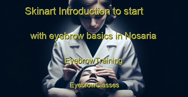 Skinart Introduction to start with eyebrow basics in Nosaria | EyebrowTraining | EyebrowClasses | SkinartTraining-India