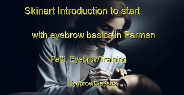 Skinart Introduction to start with eyebrow basics in Parman Patti | EyebrowTraining | EyebrowClasses | SkinartTraining-India