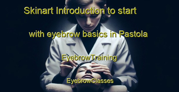 Skinart Introduction to start with eyebrow basics in Pastola | EyebrowTraining | EyebrowClasses | SkinartTraining-India