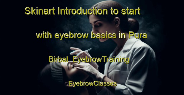 Skinart Introduction to start with eyebrow basics in Pura Birbal | EyebrowTraining | EyebrowClasses | SkinartTraining-India