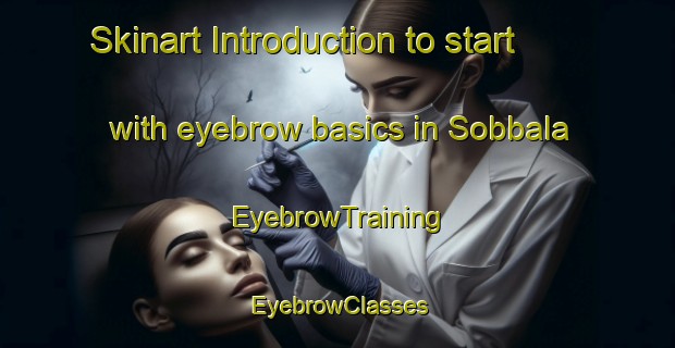 Skinart Introduction to start with eyebrow basics in Sobbala | EyebrowTraining | EyebrowClasses | SkinartTraining-India
