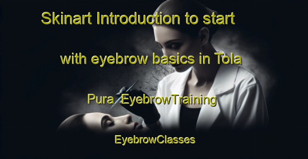 Skinart Introduction to start with eyebrow basics in Tola Pura | EyebrowTraining | EyebrowClasses | SkinartTraining-India