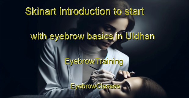 Skinart Introduction to start with eyebrow basics in Uldhan | EyebrowTraining | EyebrowClasses | SkinartTraining-India