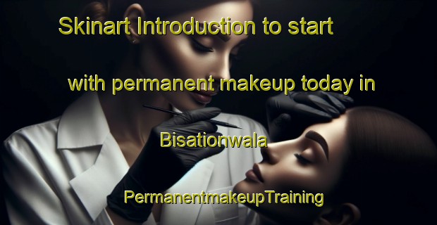 Skinart Introduction to start with permanent makeup today in Bisationwala | PermanentmakeupTraining | PermanentmakeupClasses | SkinartTraining-India