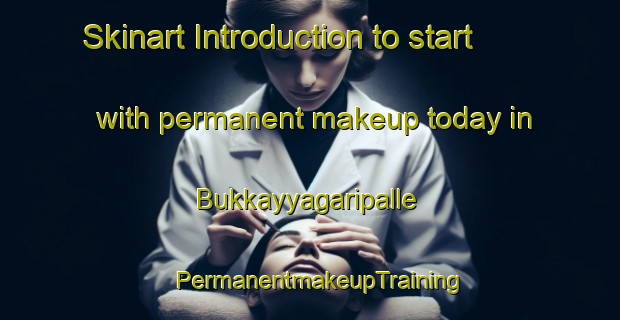 Skinart Introduction to start with permanent makeup today in Bukkayyagaripalle | PermanentmakeupTraining | PermanentmakeupClasses | SkinartTraining-India