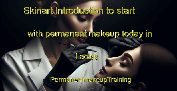 Skinart Introduction to start with permanent makeup today in Laolas | PermanentmakeupTraining | PermanentmakeupClasses | SkinartTraining-India