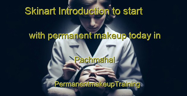 Skinart Introduction to start with permanent makeup today in Pachmahal | #PermanentmakeupTraining #PermanentmakeupClasses #SkinartTraining-India