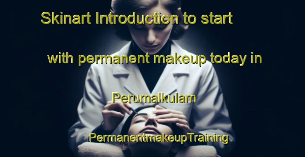 Skinart Introduction to start with permanent makeup today in Perumalkulam | #PermanentmakeupTraining #PermanentmakeupClasses #SkinartTraining-India