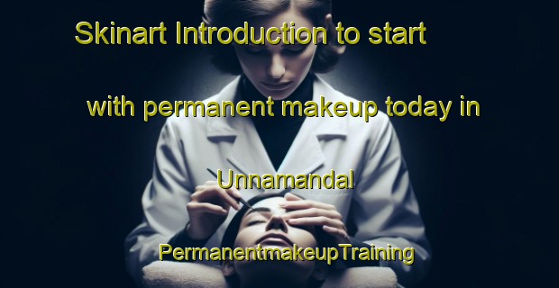 Skinart Introduction to start with permanent makeup today in Unnamandal | PermanentmakeupTraining | PermanentmakeupClasses | SkinartTraining-India