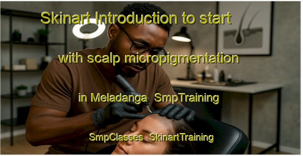 Skinart Introduction to start with scalp micropigmentation in Meladanga | SmpTraining | SmpClasses | SkinartTraining-India