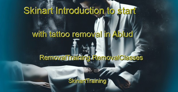 Skinart Introduction to start with tattoo removal in Ablud | #RemovalTraining #RemovalClasses #SkinartTraining-India